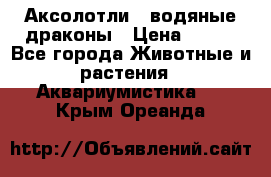 Аксолотли / водяные драконы › Цена ­ 500 - Все города Животные и растения » Аквариумистика   . Крым,Ореанда